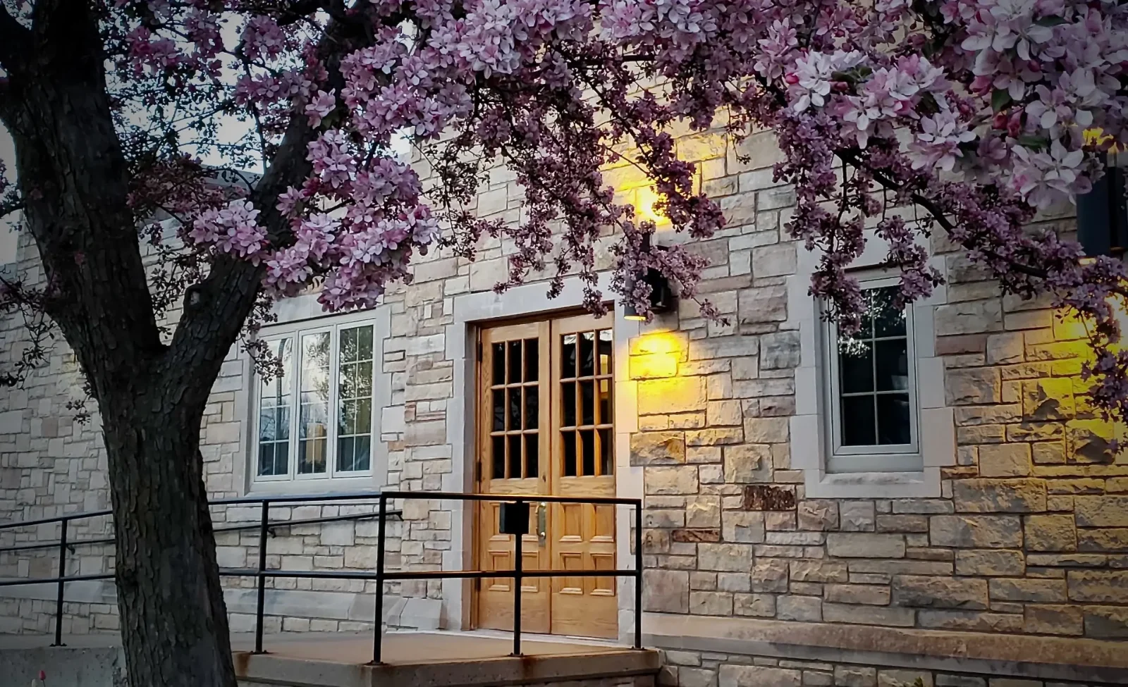 A tree in spring blossom before the stone entrance of Zion Lutheran Church at dusk
